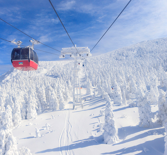 スノーアクテビティ