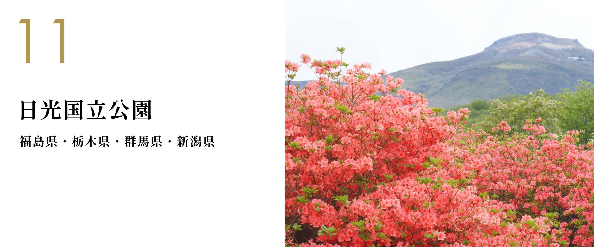 11 日光国立公園