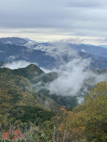 Kさんの投稿画像