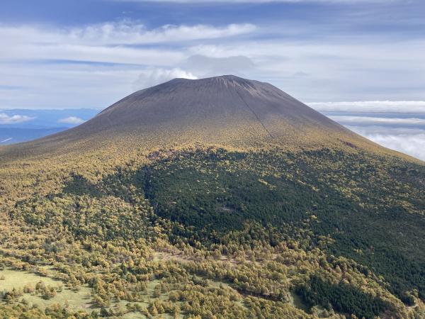 コマッティさんの投稿画像