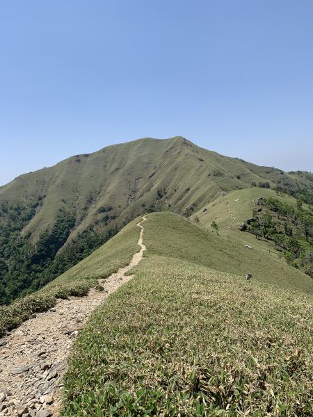 いちさんの投稿画像