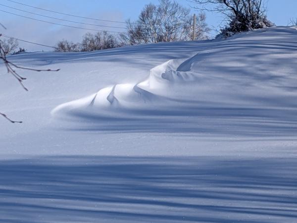 まこさんの投稿画像