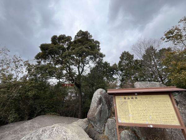 ちょび山さんの投稿画像