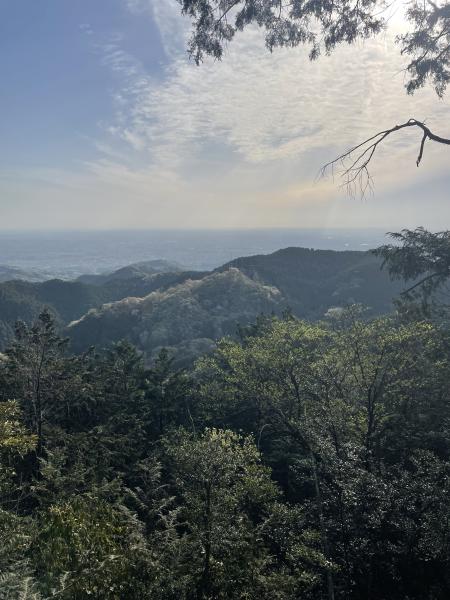 Kさんの投稿画像