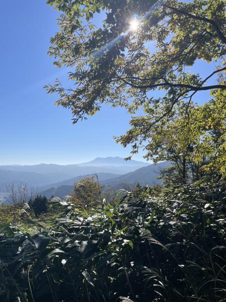 Kさんの投稿画像