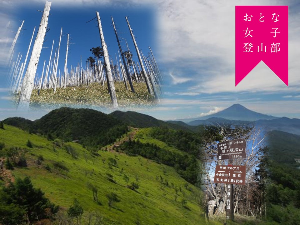 ツアーイメージ