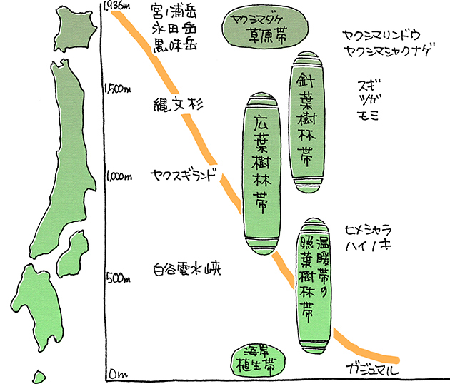 屋久島の基本情報