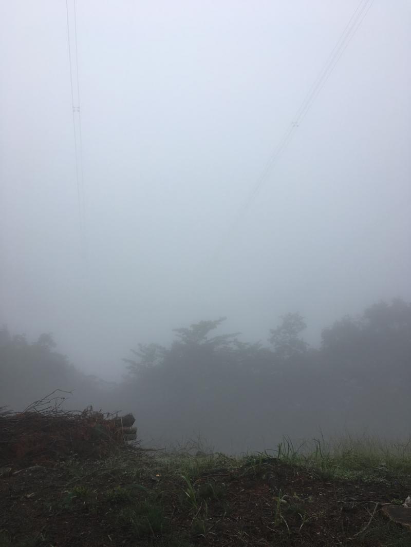 雨で何もみえない