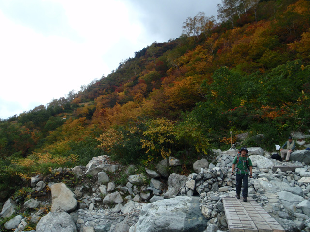 小池新道を行く。紅葉がきれい。