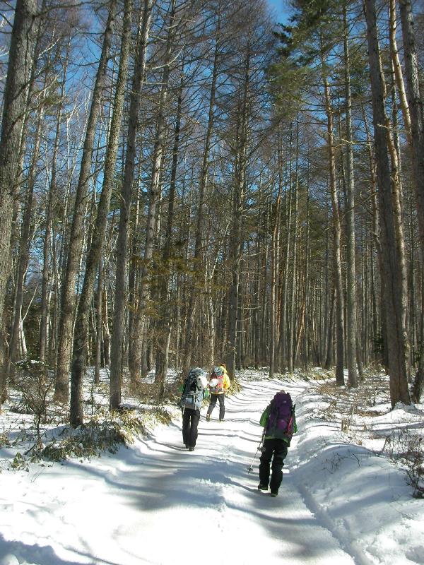 八ヶ岳山荘から出発。
