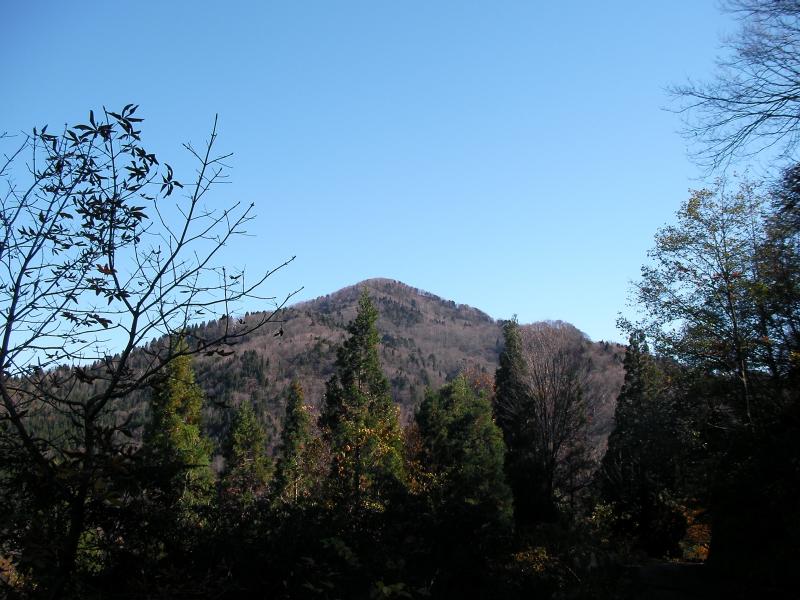 林道からの大辻山（1361m）