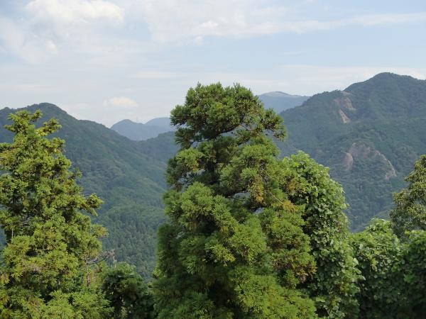 山頂からの展望はGOOD!秋の風が気持ちいい！！手前に槇尾山、奥に岩湧山！