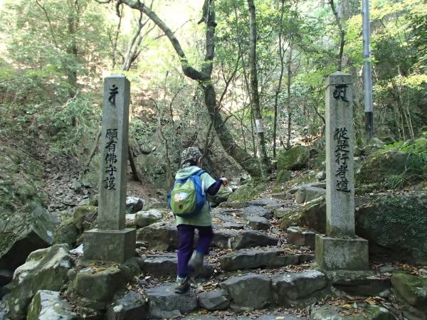 お寺の敷地内なので、こういった石碑なども多く見かけます。基本的には七宝瀧寺までは殆どアップダウンはありません。