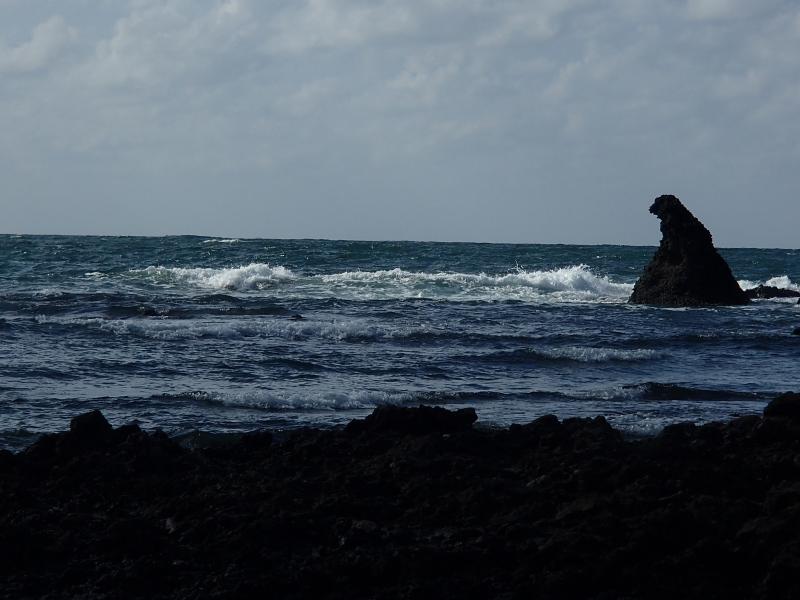 道中、ゴジラを発見しました！