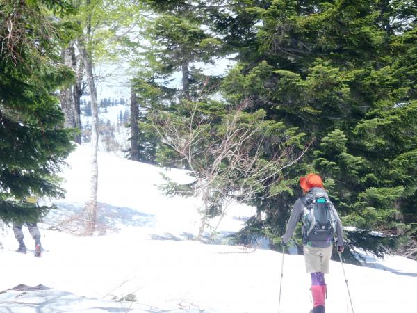 ここからは土はなくなり雪道です