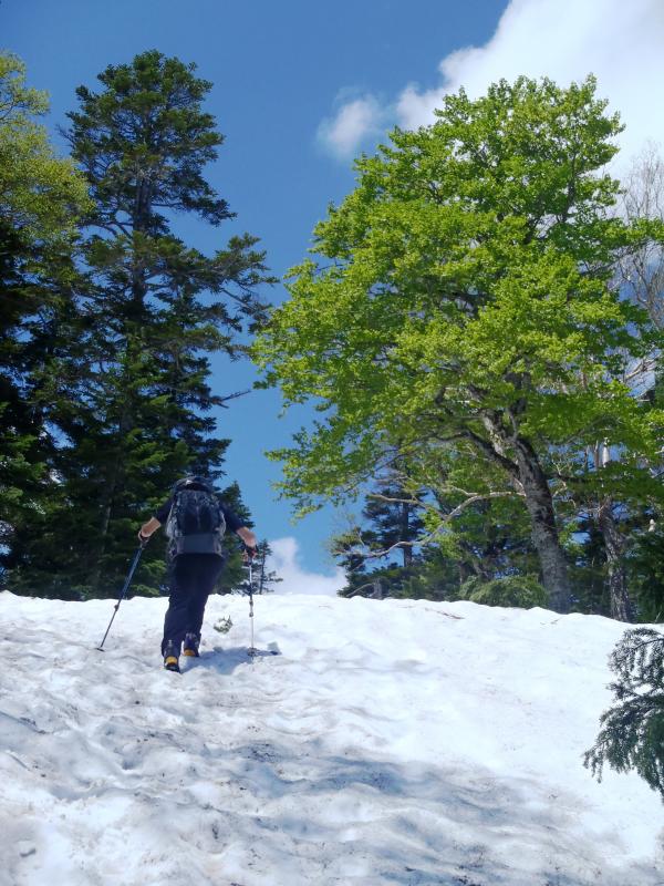 アイゼンがなくても快適