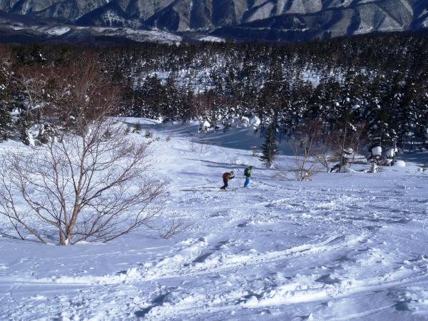 あとはウィンドクラストした硬い斜面ばかりで、トホホです・・・。