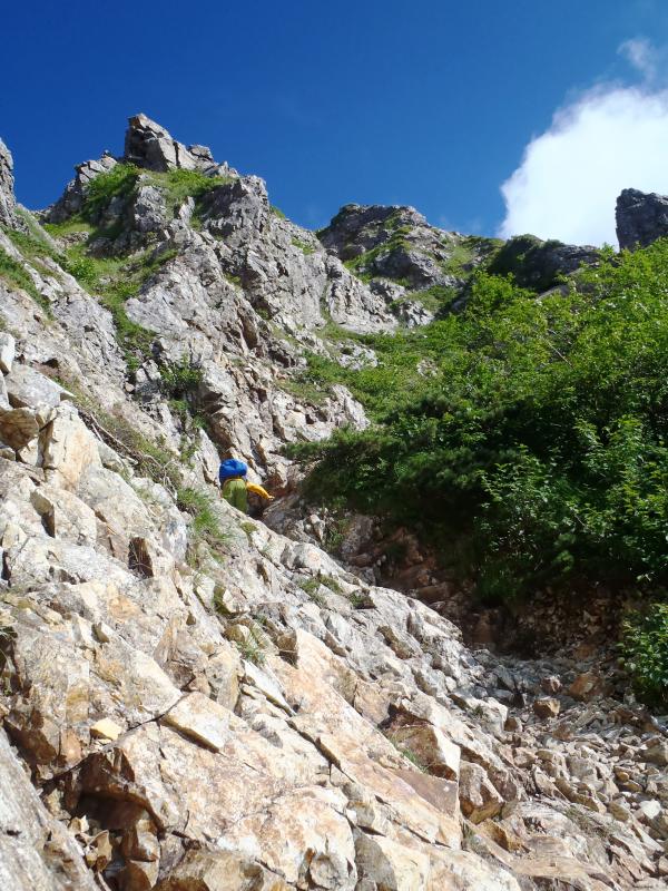 急登が続きます。