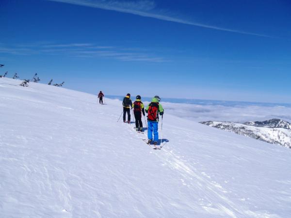 ここからシールをはずします。