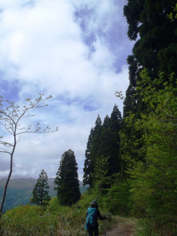 晴れてきました！