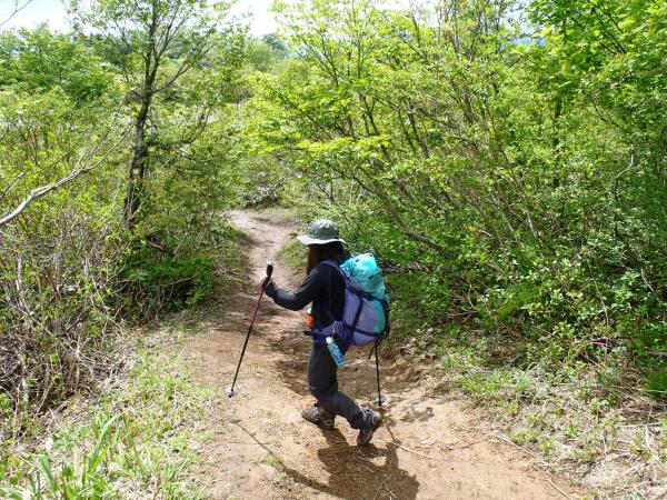 粘土状の登山道がズルズル滑ります