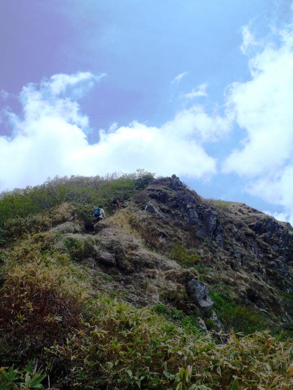 最後の急登。かなりきつい。