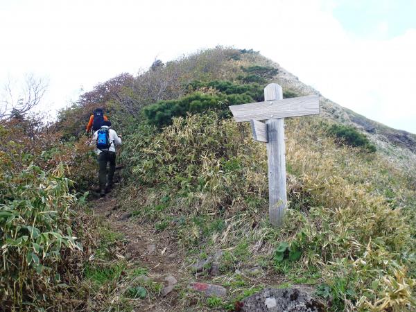 急登を終え、左にトラバース。