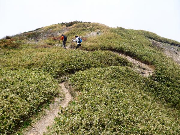 小屋から300mで山頂です。
