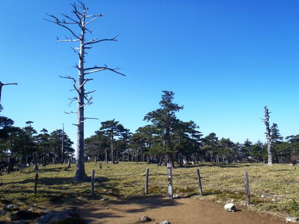 正木ヶ原　（鹿はおらず・・・）