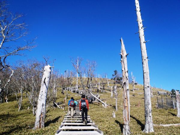 快晴です!!　青空がきれい