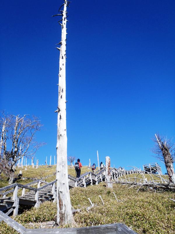 途中に展望台あり