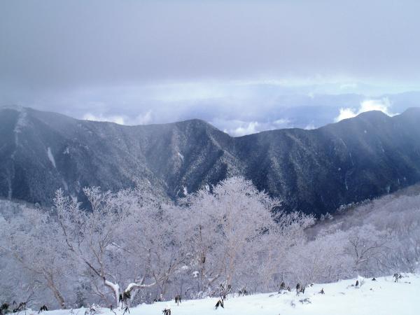 雷鳥に会いました！もう白かったです