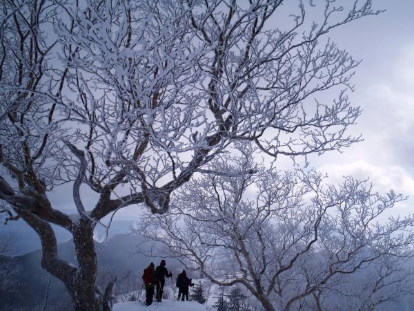 どんどん下山します