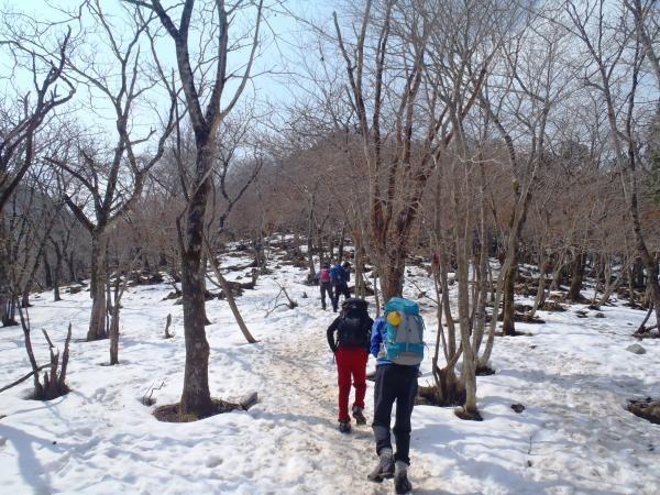 ８～９合目間は一番歩きにくいドロドロ道です。