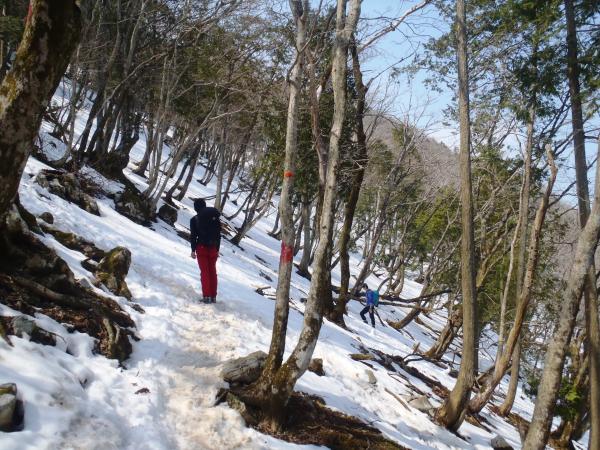 けっこう急斜面です。下りは軽アイゼンがあると安心。