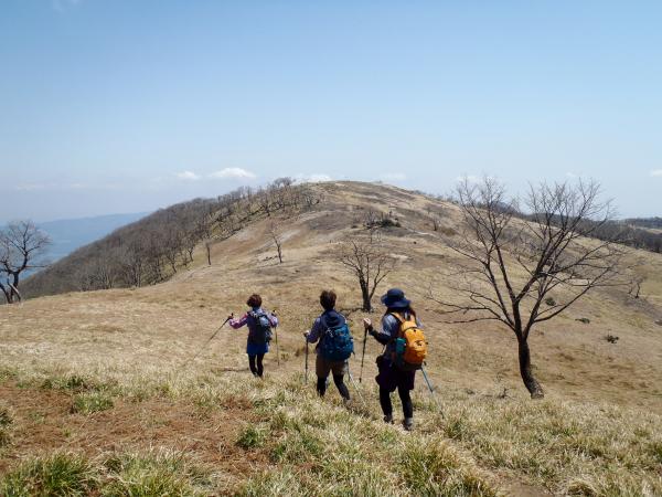 テーブルランド