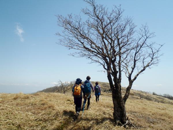 すごく気持ち良いです!!