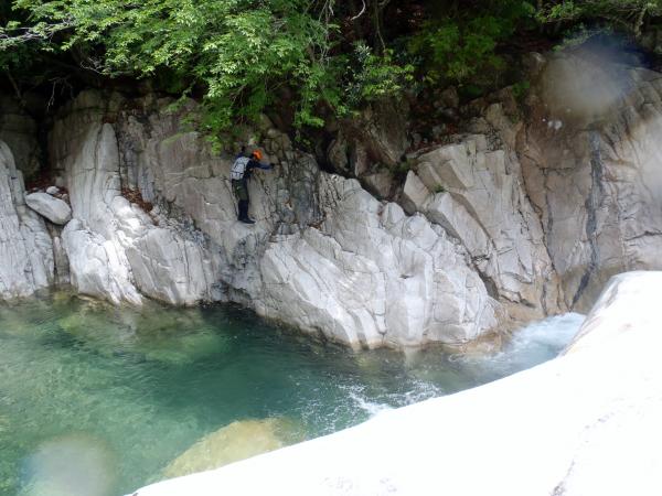 またそんなとこに登って・・・。下りれないでしょー。