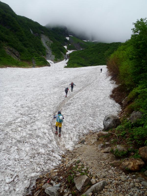 雪渓の左脇を、異様な数のサルが猛スピードで駆け下りてきて不気味でした・・・。