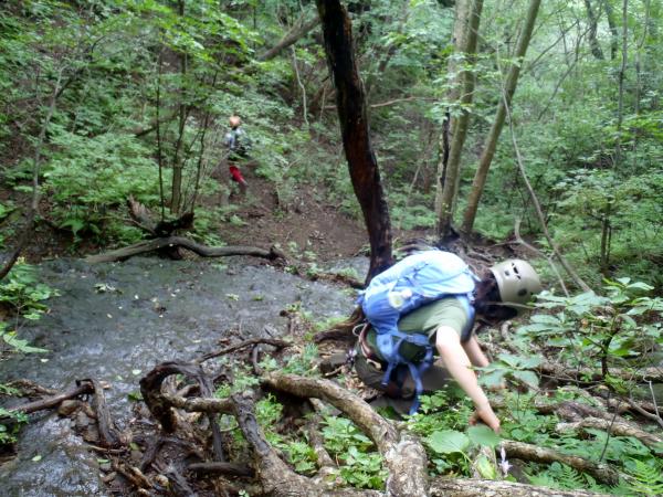 やっと危険なところはなくなりましたが、登山道が濡れていて滑ります。