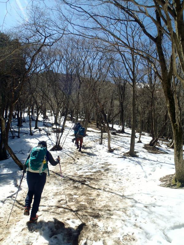 あれ？ 福寿草を見たのにまだ登るみたい・・・。