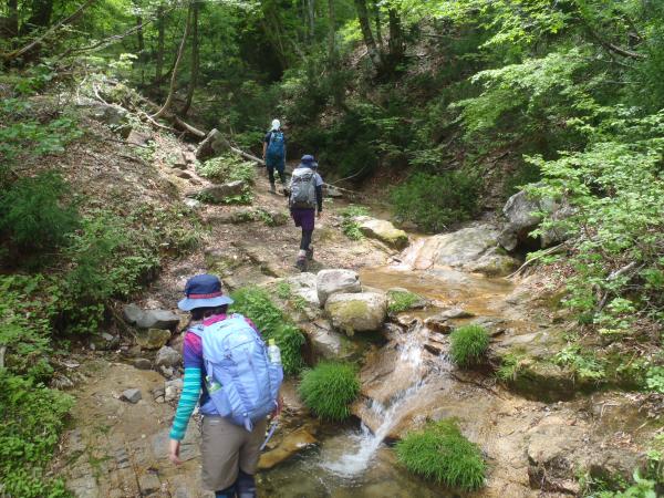 これぐらいの川では、もう物足りない･･･。