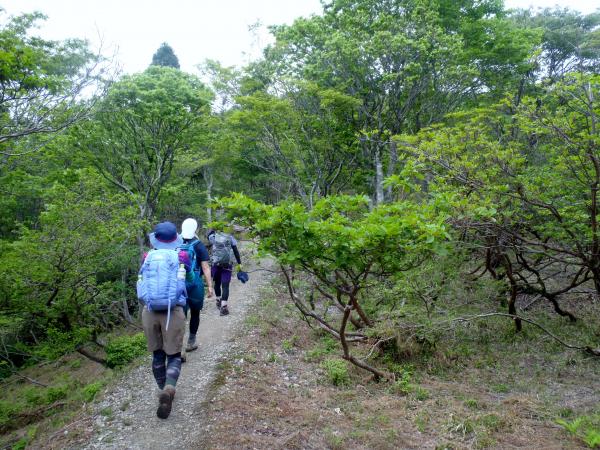 お天気が悪くなってきました。