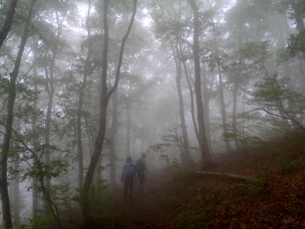 下山はガスの中･･･。でも、幻想的！