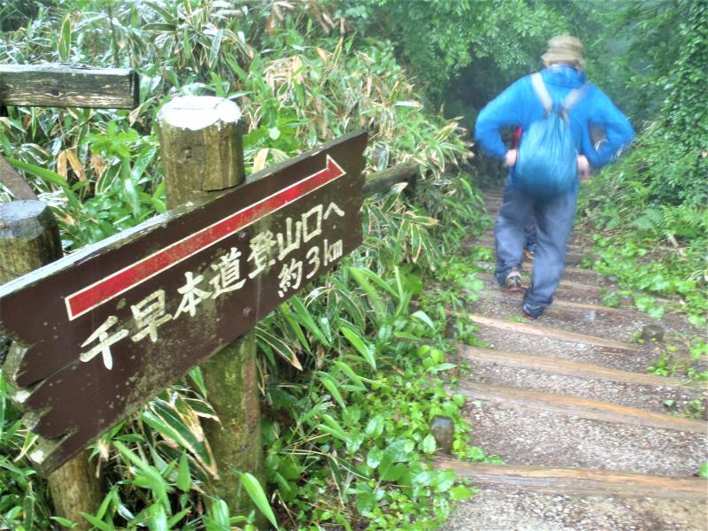 下山は千早本道コース。