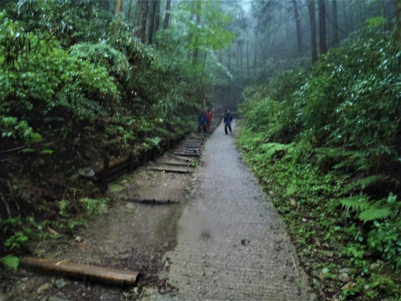 緩やかな階段が続き歩きやすいですが、長いです。お疲れ様でした。