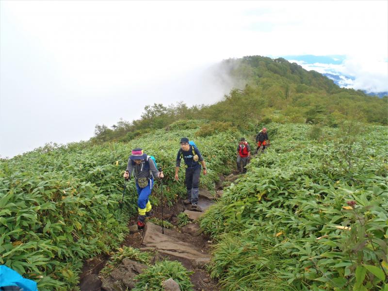ここからすぐで山頂です。