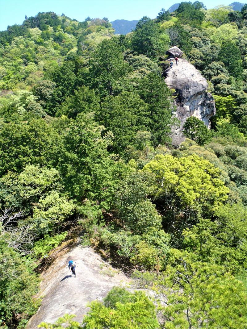 「飛石」から見る「小尻返し」。