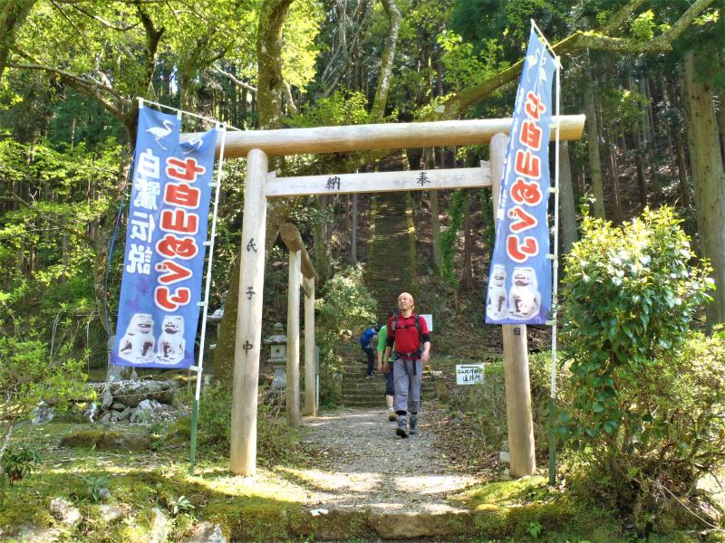 最後にコケの階段を下りたら終了です。お疲れ様でした。