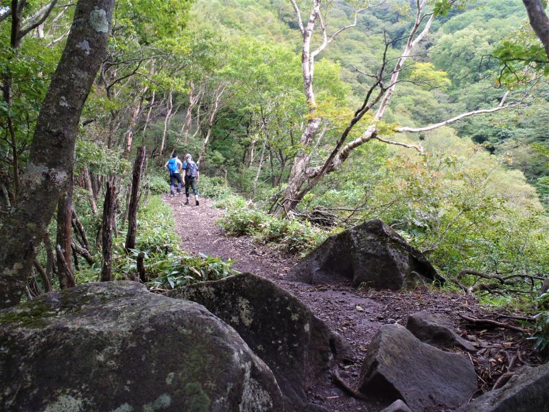 やっと平地。疲れました･･･。